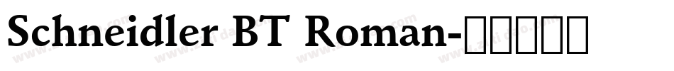 Schneidler BT Roman字体转换